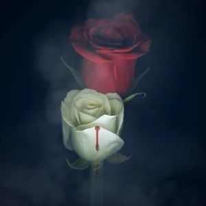 Meet your Posher, Joey